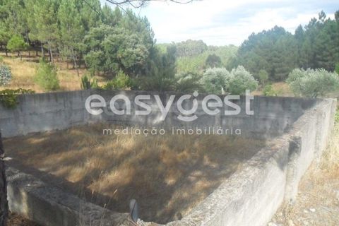 Terra a Barco e Coutada, Castelo Branco, Barco e Coutada - € 38.000 | Ref: CB63063MA - foto 6