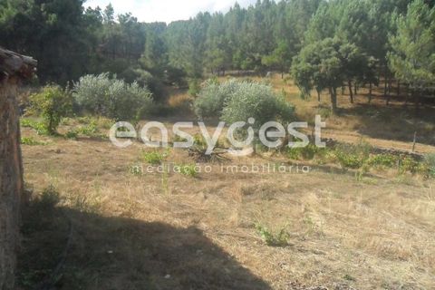 Terra a Barco e Coutada, Castelo Branco, Barco e Coutada - € 38.000 | Ref: CB63063MA - foto 9