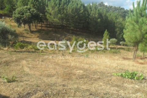 Terra a Barco e Coutada, Castelo Branco, Barco e Coutada - € 38.000 | Ref: CB63063MA - foto 10