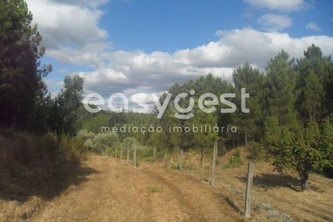 Terra a Barco e Coutada, Castelo Branco, Barco e Coutada - € 38.000 | Ref: CB63063MA - foto 12
