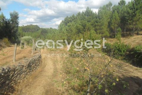 Terra a Barco e Coutada, Castelo Branco, Barco e Coutada - € 38.000 | Ref: CB63063MA - foto 13