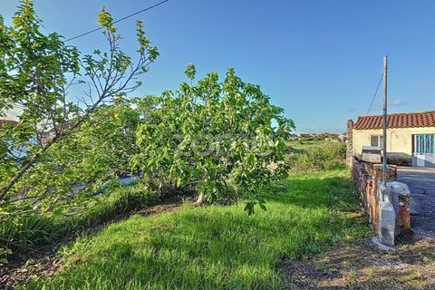Haus in Alqueidao, Coimbra, Alqueidao - € 49.900 | Ref: ZMPT576450 - Foto 5