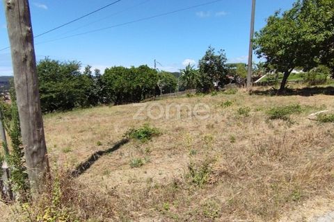 Helårsgrund i Pombal, Leiria, Pombal - € 61.500 | Ref: ZMPT579307 - foto 2
