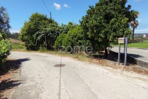 Helårsgrund i Pombal, Leiria, Pombal - € 61.500 | Ref: ZMPT579307 - foto 3