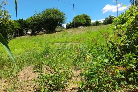 Helårsgrund i Pombal, Leiria, Pombal - € 61.500 | Ref: ZMPT579307 - foto 4