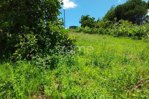 Helårsgrund i Pombal, Leiria, Pombal - € 61.500 | Ref: ZMPT579307 - foto 5