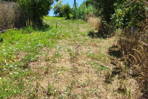 Helårsgrund i Pombal, Leiria, Pombal - € 61.500 | Ref: ZMPT579307 - foto 6