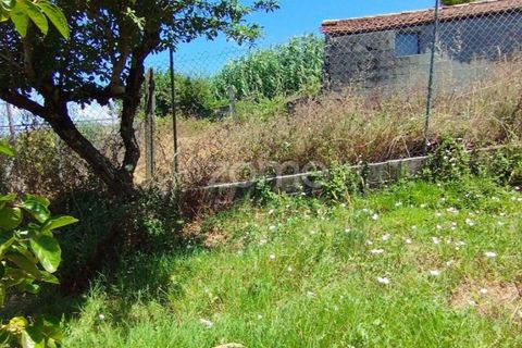 Helårsgrund i Pombal, Leiria, Pombal - € 61.500 | Ref: ZMPT579307 - foto 7