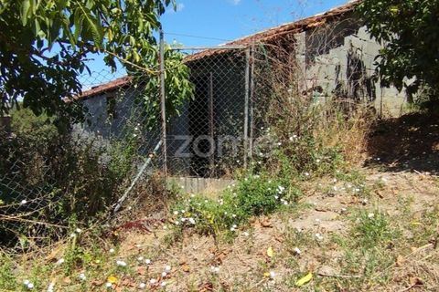 Helårsgrund i Pombal, Leiria, Pombal - € 61.500 | Ref: ZMPT579307 - foto 8