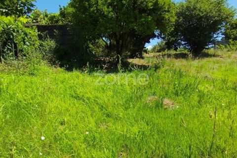 Helårsgrund i Pombal, Leiria, Pombal - € 61.500 | Ref: ZMPT579307 - foto 9