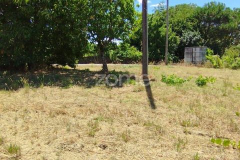 Helårsgrund i Pombal, Leiria, Pombal - € 61.500 | Ref: ZMPT579307 - foto 11