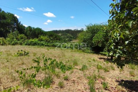 Helårsgrund i Pombal, Leiria, Pombal - € 61.500 | Ref: ZMPT579307 - foto 12