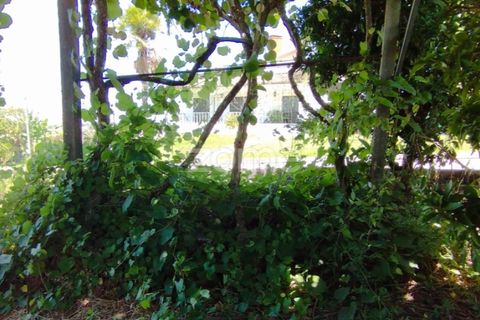 Helårsgrund i Pombal, Leiria, Pombal - € 61.500 | Ref: ZMPT579307 - foto 13