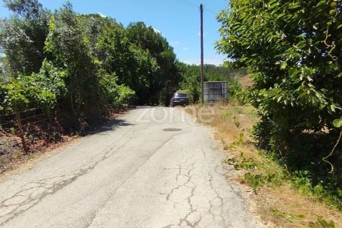 Helårsgrund i Pombal, Leiria, Pombal - € 61.500 | Ref: ZMPT579307 - foto 14