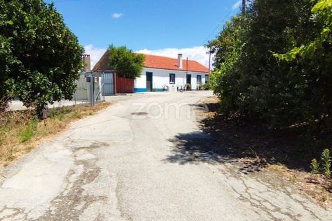 Helårsgrund i Pombal, Leiria, Pombal - € 61.500 | Ref: ZMPT579307 - foto 15