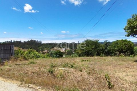 Helårsgrund i Pombal, Leiria, Pombal - € 61.500 | Ref: ZMPT579307 - foto 16