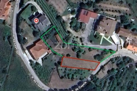 Helårsgrund i Pombal, Leiria, Pombal - € 61.500 | Ref: ZMPT579307 - foto 18