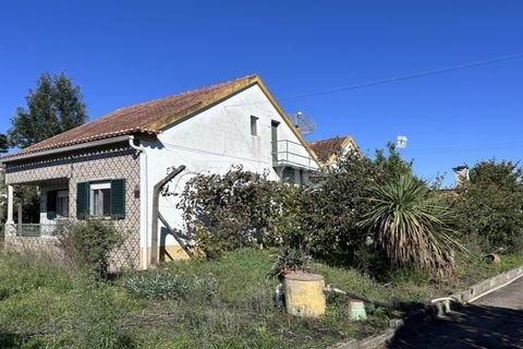 Villa i Asseiceira, Santarem, Asseiceira - € 239.000 | Ref: ZMPT583324 - foto 4
