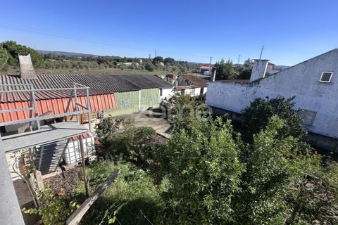 Villa i Asseiceira, Santarem, Asseiceira - € 239.000 | Ref: ZMPT583324 - foto 31