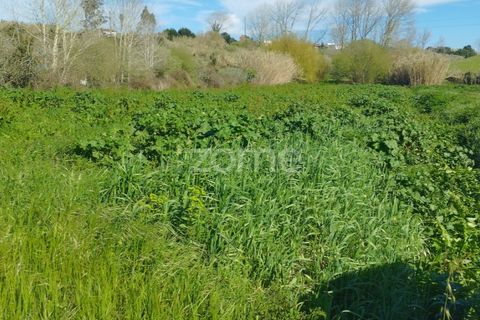 Helårsgrund i Monte Real, Leiria, Monte Real - € 13.500 | Ref: ZMPT576062 - foto 3