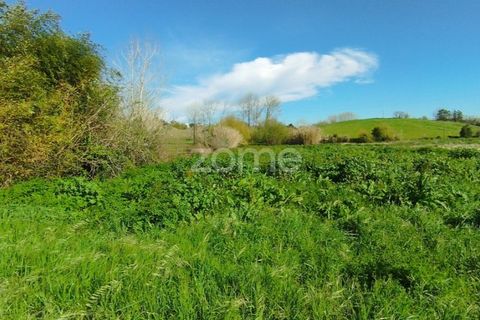 Helårsgrund i Monte Real, Leiria, Monte Real - € 13.500 | Ref: ZMPT576062 - foto 4