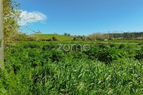 Helårsgrund i Monte Real, Leiria, Monte Real - € 13.500 | Ref: ZMPT576062 - foto 5