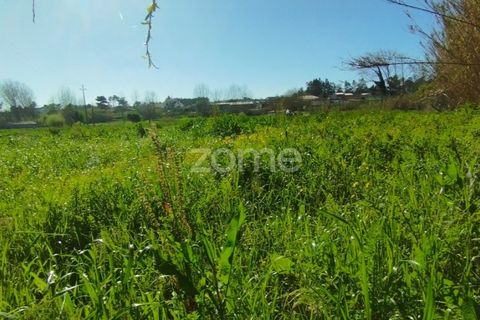 Helårsgrund i Monte Real, Leiria, Monte Real - € 13.500 | Ref: ZMPT576062 - foto 9