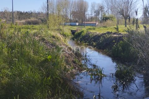 Helårsgrund i Monte Real, Leiria, Monte Real - € 13.500 | Ref: ZMPT576062 - foto 11