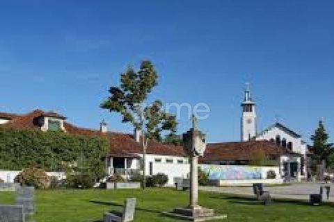 Helårsgrund i Monte Real, Leiria, Monte Real - € 13.500 | Ref: ZMPT576062 - foto 17