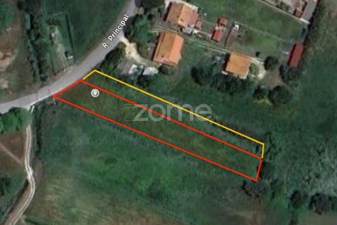 Helårsgrund i Monte Real, Leiria, Monte Real - € 13.500 | Ref: ZMPT576062 - foto 18
