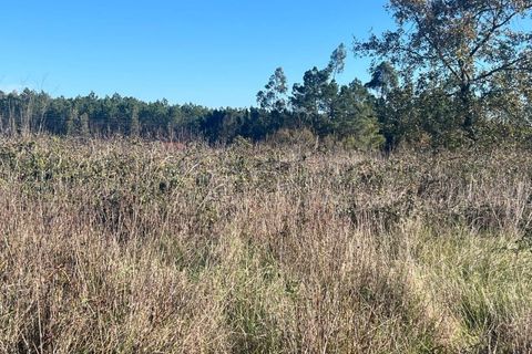 Helårsgrund i Monte Real, Leiria, Monte Real - € 450.000 | Ref: LE99009NZ - foto 5