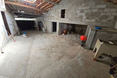 Gård i Tabua, Coimbra, Tabua - € 129 000 | Ref: RR99400 - foto 25
