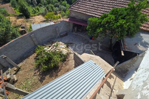 Gård i Tabua, Coimbra, Tabua - € 129 000 | Ref: RR99400 - foto 30