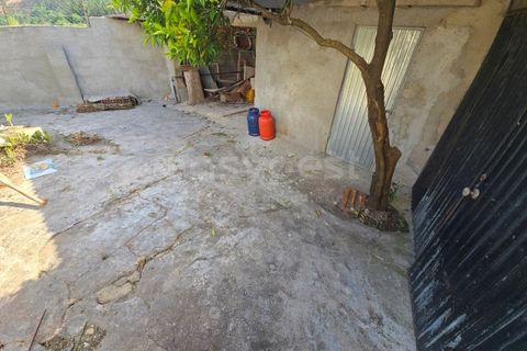 Gård i Tabua, Coimbra, Tabua - € 129 000 | Ref: RR99400 - foto 31