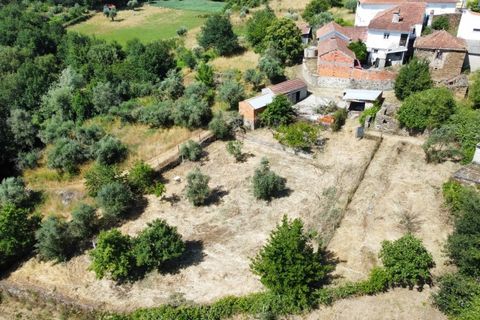 Gård i Tabua, Coimbra, Tabua - € 129 000 | Ref: RR99400 - foto 36