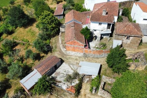 Gård i Tabua, Coimbra, Tabua - € 129 000 | Ref: RR99400 - foto 37