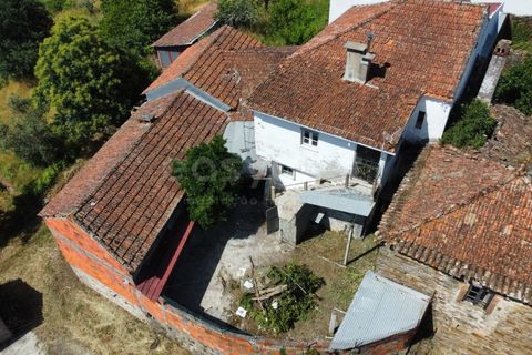 Gård i Tabua, Coimbra, Tabua - € 129 000 | Ref: RR99400 - foto 39