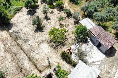 Gård i Tabua, Coimbra, Tabua - € 129 000 | Ref: RR99400 - foto 41