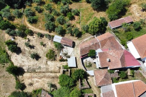 Gård i Tabua, Coimbra, Tabua - € 129 000 | Ref: RR99400 - foto 42