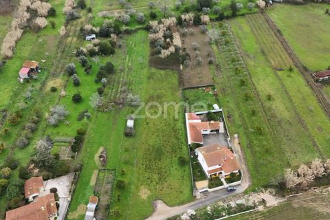 Helårsgrund i Antuzede e Vil de Matos, Coimbra, Antuzede e Vil de Matos - € 65.000 | Ref: ZMPT585085 - foto 3