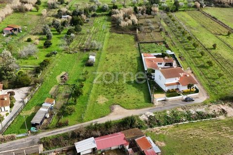Helårsgrund i Antuzede e Vil de Matos, Coimbra, Antuzede e Vil de Matos - € 65.000 | Ref: ZMPT585085 - foto 9