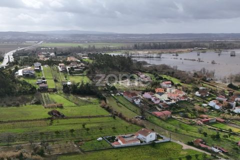 Helårsgrund i Antuzede e Vil de Matos, Coimbra, Antuzede e Vil de Matos - € 65.000 | Ref: ZMPT585085 - foto 12