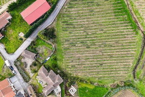 Farm i Guimaraes, Braga, Guimaraes - € 650.000 | Ref: SC-9142 - foto 23