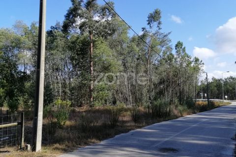 Helårsgrund i Cantanhede, Coimbra, Cantanhede - € 40.000 | Ref: ZMPT559383 - foto 2