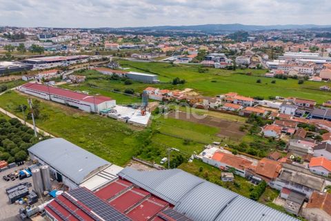 Helårsgrund i Leiria, Leiria, Leiria - € 299.000 | Ref: ZMPT584615 - foto 15