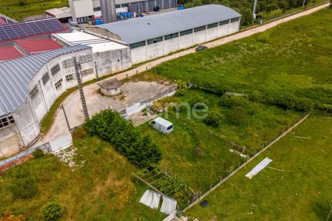 Helårsgrund i Leiria, Leiria, Leiria - € 299.000 | Ref: ZMPT584615 - foto 18