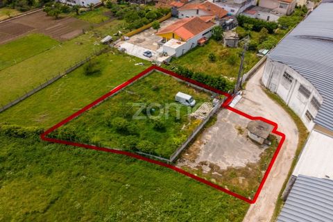 Helårsgrund i Leiria, Leiria, Leiria - € 299.000 | Ref: ZMPT584615 - foto 19