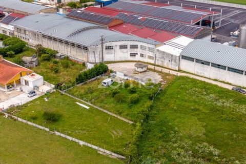 Helårsgrund i Leiria, Leiria, Leiria - € 299.000 | Ref: ZMPT584615 - foto 24