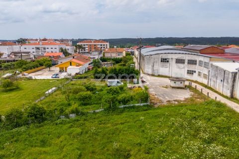 Helårsgrund i Leiria, Leiria, Leiria - € 299.000 | Ref: ZMPT584615 - foto 28