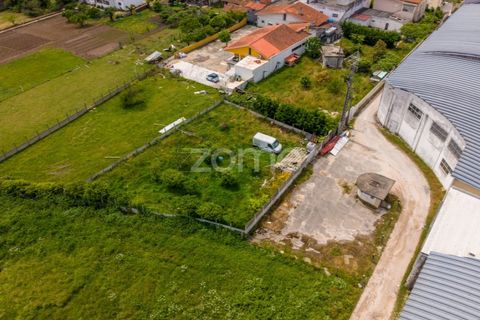 Helårsgrund i Leiria, Leiria, Leiria - € 299.000 | Ref: ZMPT584615 - foto 31